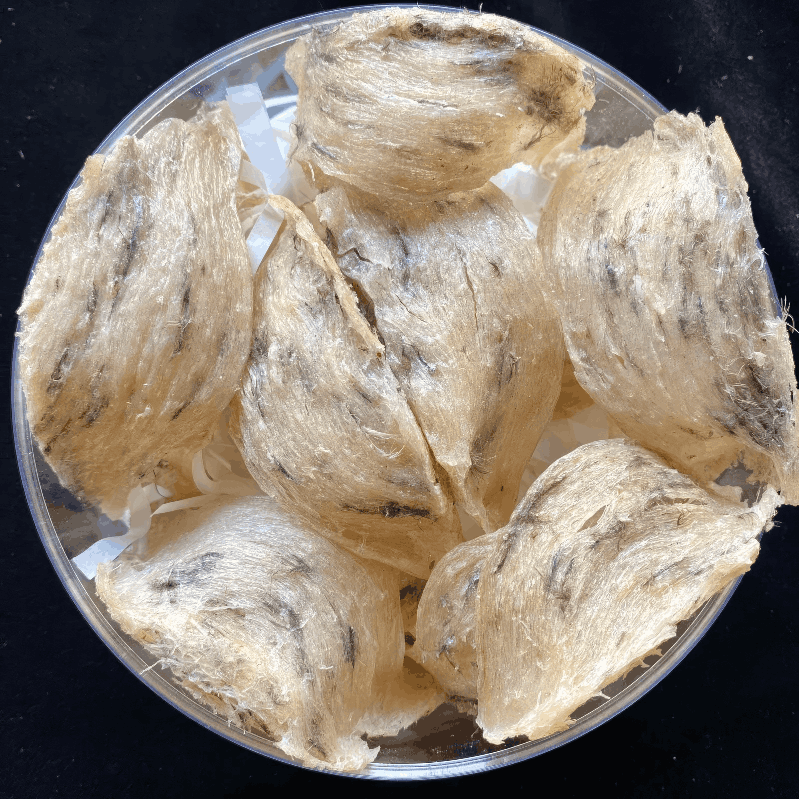 Bird nest drink in a glass bottle