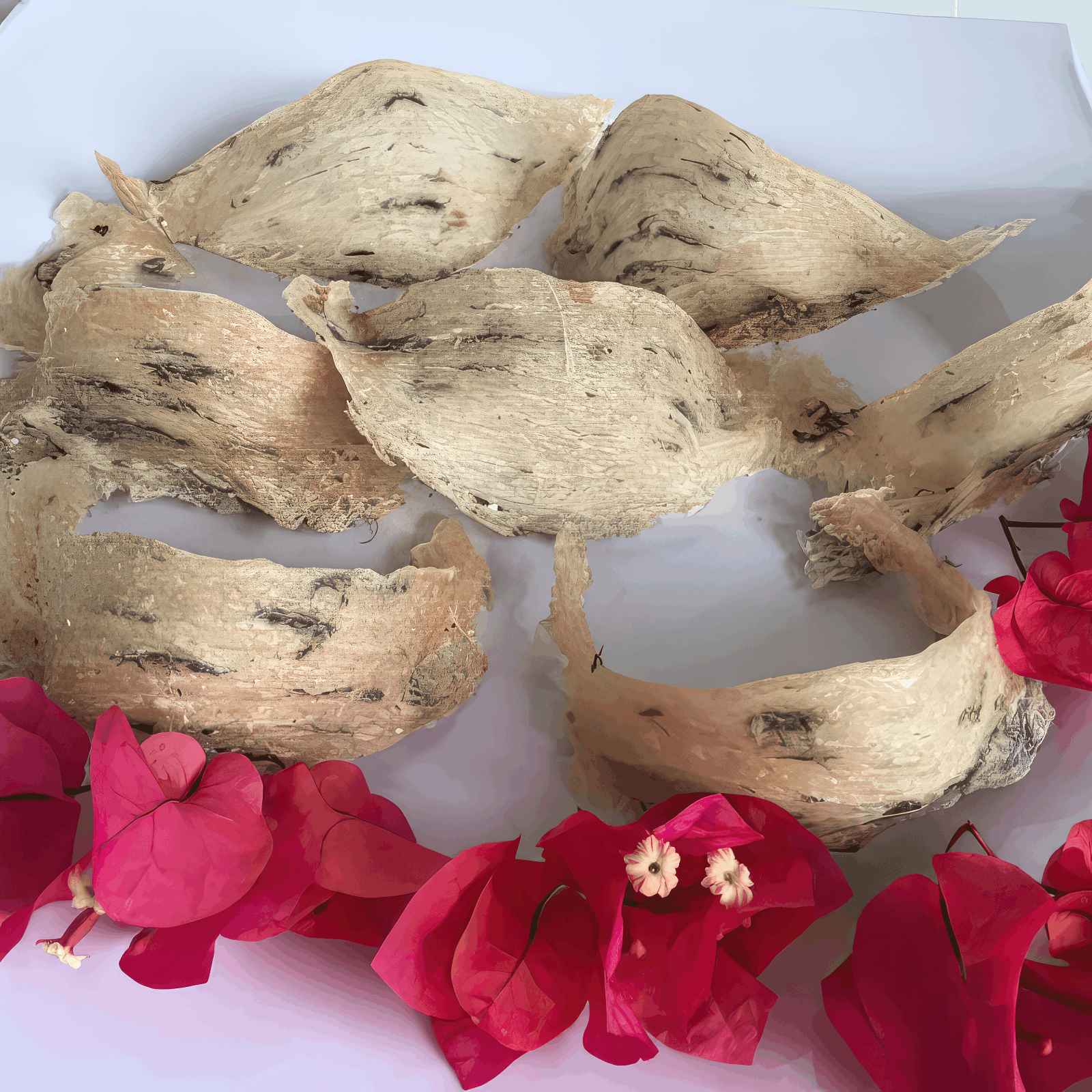 Photo raw bird nests laying next to red orchid flowers on a plate  